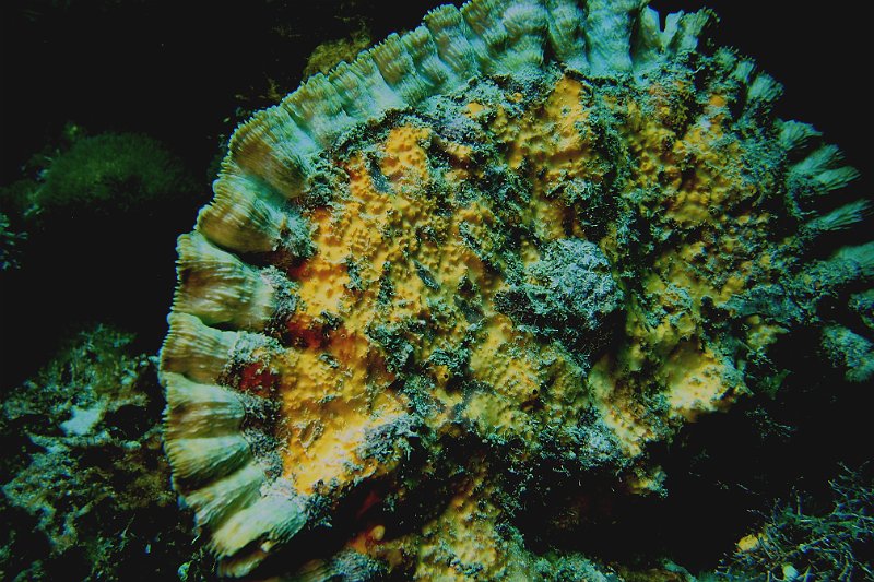 2016-03-24 13-23-51.JPG